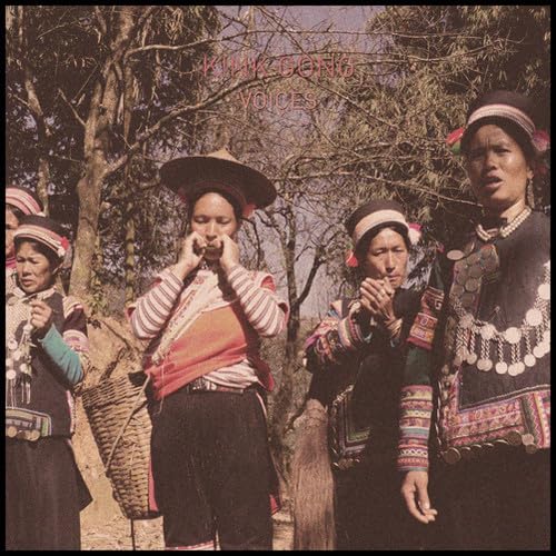 Voices [VINYL] [Vinyl LP] von Discrepant