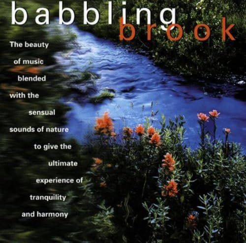 Babbling Brook von Disky (Disky)