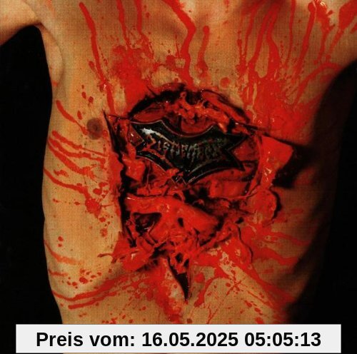 Indecent and Obscene von Dismember