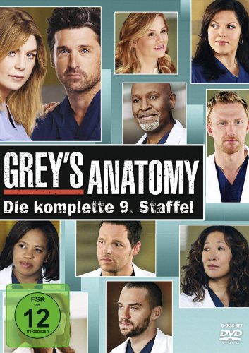 Grey's Anatomy - Staffel 9 [6 DVDs] von Disney Interactive Studios