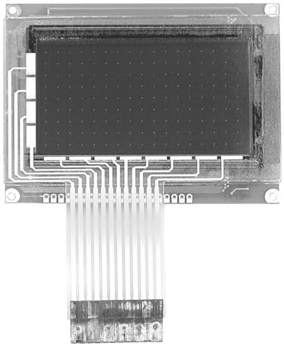 Display Elektronik Grafik-Display Weiß 128 x 64 Pixel (B x H x T) 93.00 x 70.00 x 15.1mm von Display Elektronik