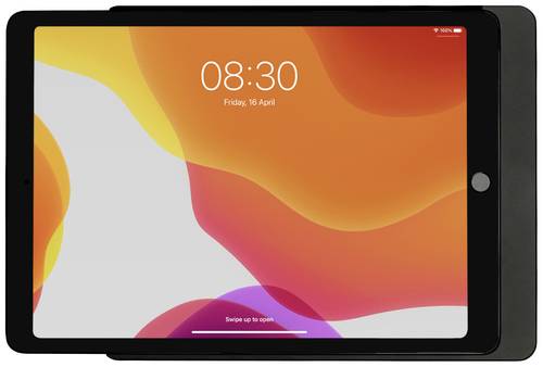 Displine Dame Wall Home Tablet Wandhalterung Apple iPad 10.2 (7./8./9. Gen.) 25,9cm (10,2 ) von Displine