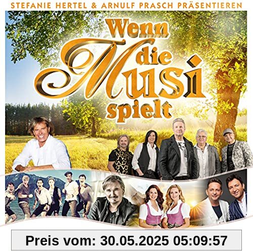 Wenn die Musi spielt von Divers