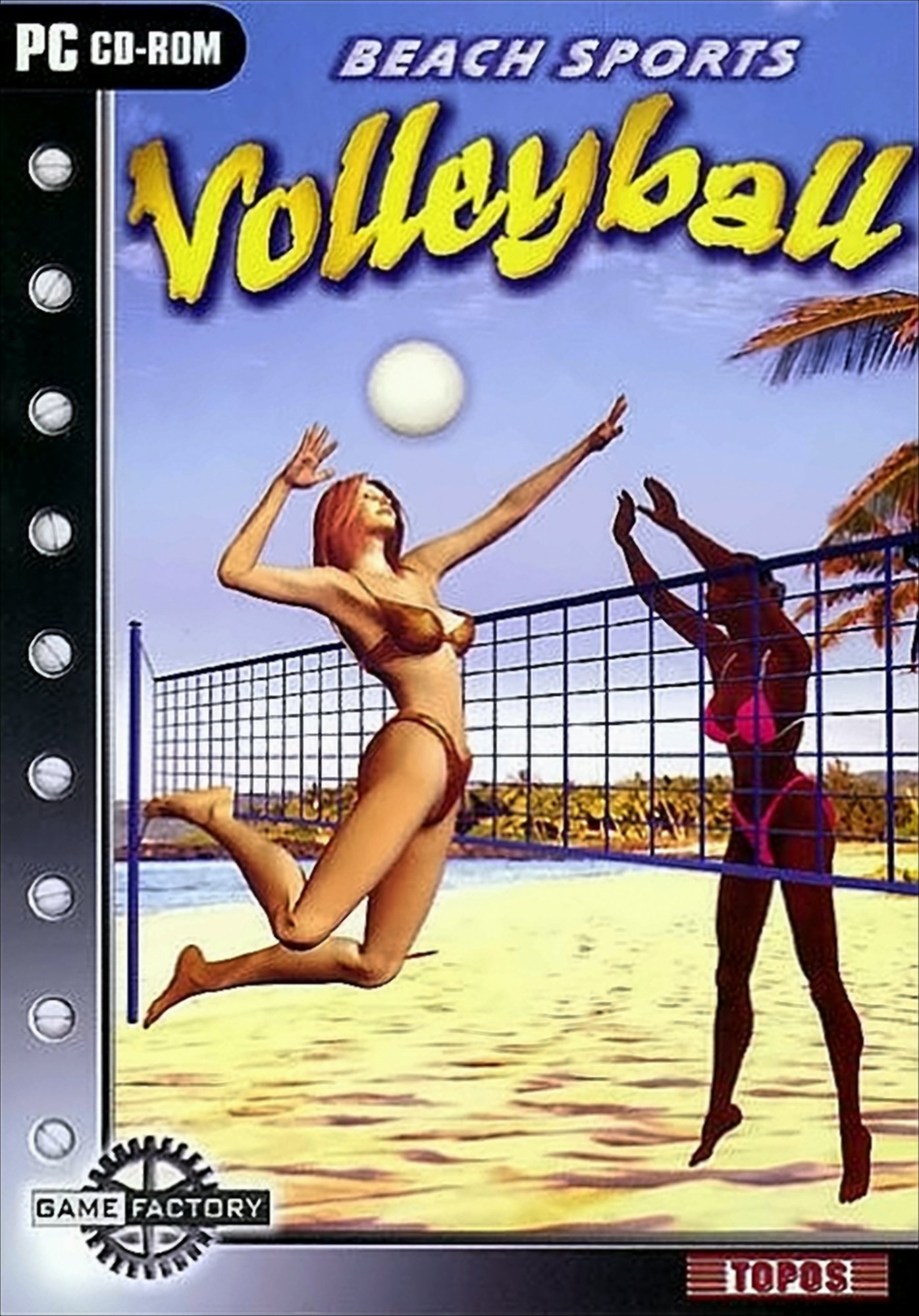 Beach Sports: Volleyball von Diverse