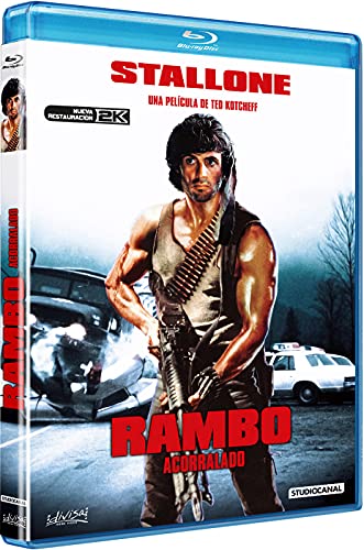 Rambo: First Blood (RAMBO: ACORRALADO, Spanien Import, siehe Details für Sprachen) [Blu-ray] von Divisa HV