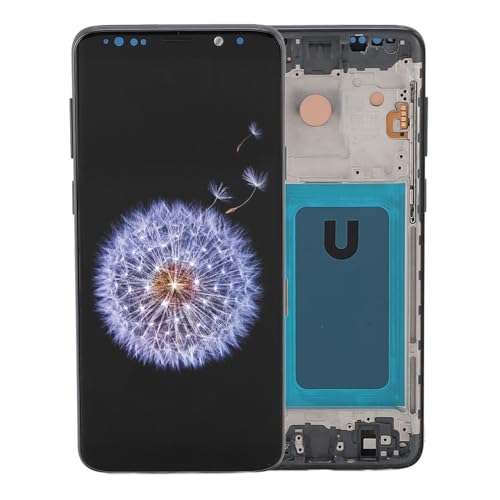 Bildschirmersatz für S9 Plus G950 SM G950F G950A G950P G950R4 6.2in ​​LCD -Anzeige Touch Digitizer Bildschirmbaugruppe - mit Frame - Tools (Silbergrau) von Diyeeni