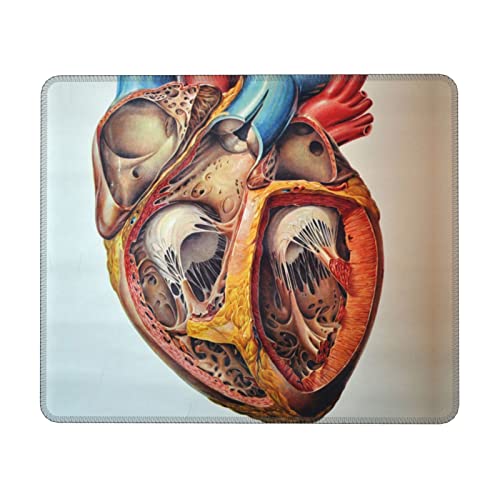 Mauspad mit menschlicher Anatomie, Herz-Diagramm, Gummi-Schlosskante, geeignet für Desktops, Laptops, PCs, Konsolen. 8,3 x 26,2 cm Mauspad mit menschlicher Anatomie, Herz-Diagramm, Gummi-Schlosskante, geeignet für Desktops, Laptops, PCs, Konsolen. 8,3 x 26,2 cm von Dmorj