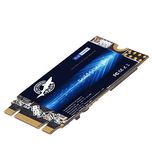 Dogfish M.2 2242 SSD 250GB Ngff Internal Solid State Drive 42 * 22MM Hard Drive M2 SSD M.2 SSD Included 60GB 120GB 240GB 250GB 256GB 480GB 500GB (250GB, M.2 2242) von THREE COLOUR DOGFISH