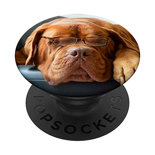 Netter lustiger Bordeaux-Hund, der Brille trägt PopSockets PopGrip: Ausziehbarer Sockel und Griff für Handys/Tablets mit Tauschbarem Top von Dogtastic