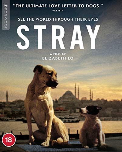 Stray [Blu-ray] [2021] von Dogwoof
