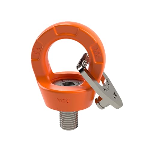 Dolezych Professionell Ringschraube mit Auge DLR, Tragfähigkeit 400 kg, Gewinde M10 x 15 mm von Dolezych