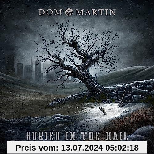 Buried in the Hail [Vinyl LP] von Dom Martin