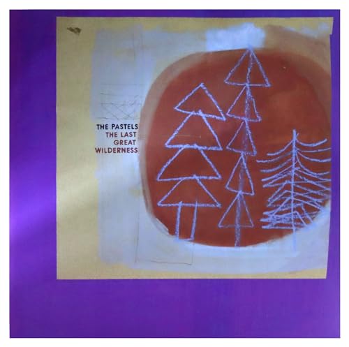 The Last Great Wilderness [Vinyl LP] von Domino (Rough Trade)