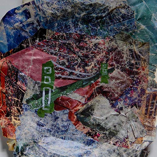 USED Animal Collective Bridge To Quiet Vinyl LP PO [Vinyl] von Domino Recording Co.