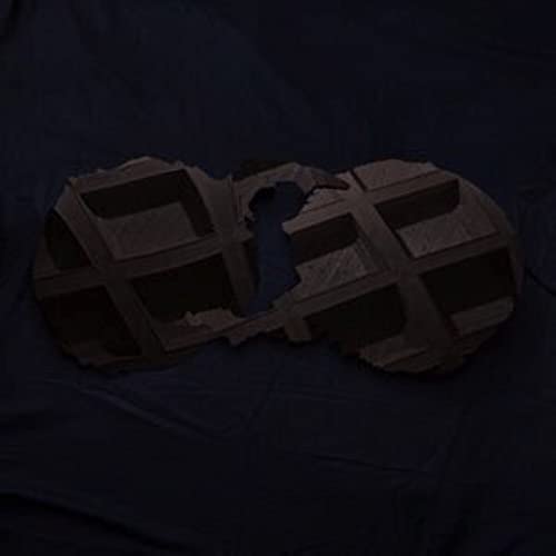 Dirty Projectors (2LP+MP3) [Vinyl LP] von Domino Records