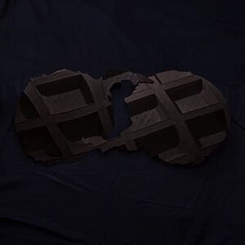 Dirty Projectors (2lp+Mp3) [Vinyl LP] von DOMINO