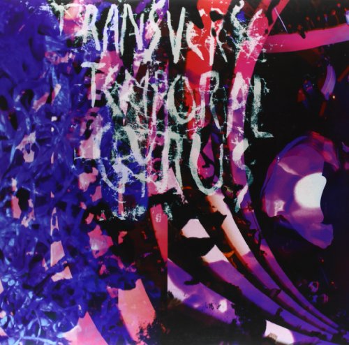 Transverse Temporal Gyrus [12" VINYL] [Vinyl Single] von Domino