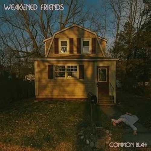 Common Blah [Vinyl LP] von Don Giovanni