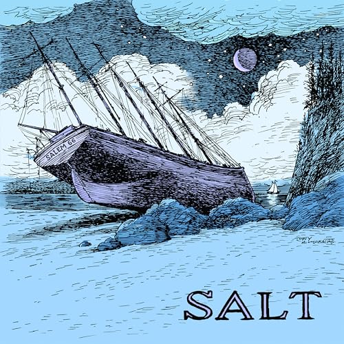 Salt [Vinyl LP] von Don Giovanni (H'Art)