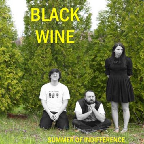 Summer of Indifference [Vinyl LP] von Don Giovanni