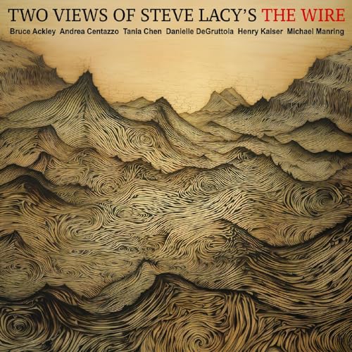 Two Views of Steve Lacys the Wire von Don Giovanni