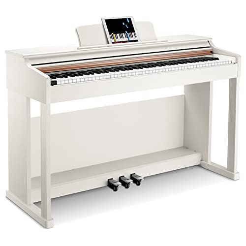 Donner Digial Piano 88 Key Weighted DDP-100, Action Digital Piano, Anfänger Keyboard Piano Bundle mit Möbelständer, Netzadapter, Weiß von Donner