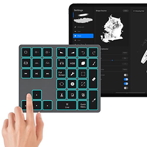 Doohoeek Bluetooth-Tastatur mit Hintergrundbeleuchtung für iPad Procreate, wiederaufladbare Tastatur für Procreate und Zeichenkürzel für iPad und Grafiktabletts, Grau von Doohoeek
