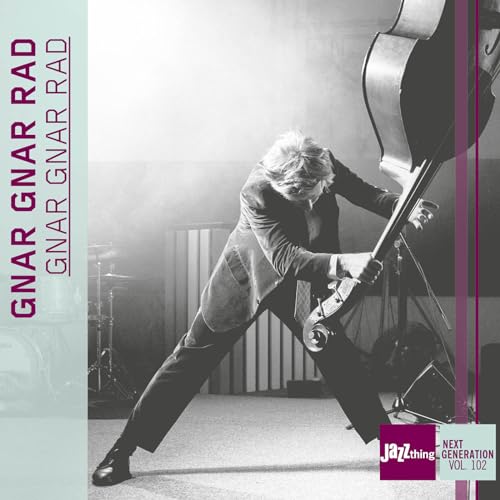 Gnar Gnar Rad - Jazz Thing Next Generation Vol. 10 von Double Moon (H'Art)