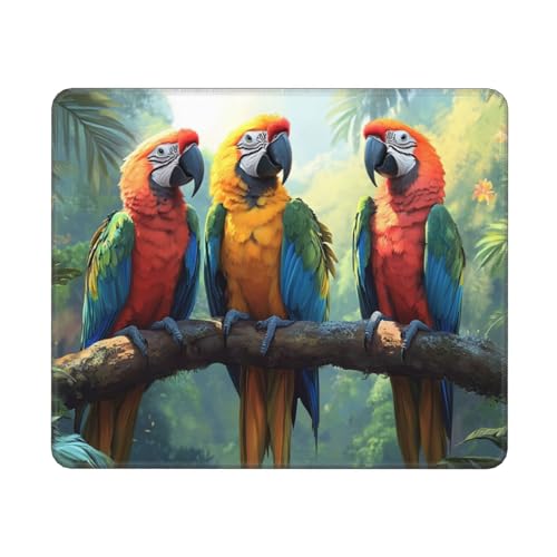 Papagei Mauspad XXL 240x200x3mm, Gamer Gaming Mauspad Vogel Design Vernähte mit Kanten, Wetterfest Anti Rutsch Mousepad PC Laptop verbessert Präzision und Geschwindigkeit für Home Office Deko, Gifts von Dozsconz