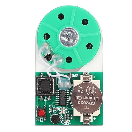 25S Push Button Recordable Sound Chip, Recordable Sound Module, Push Button Control Card Sound Recorder, Card Voice Recorder, Custom Button Record für Grußkarten von Dpofirs