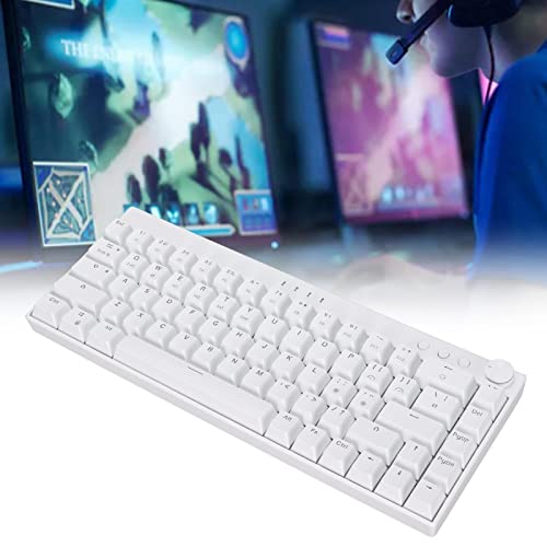 Dpofirs Mechanische Tastatur Universal (DREI Modi Verbindung: 2,4 G/BT 3.0/BT 5.0/Typ C Kabelgebunden) 68 Tasten RGB Dynamische Hintergrundbeleuchtung Tastatur (1800 MAh Akku) (Blauer von Dpofirs