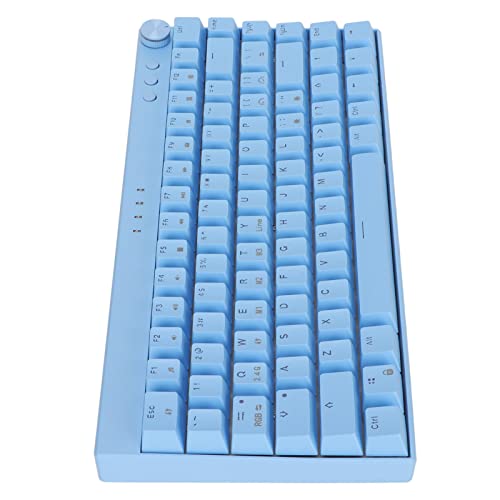 Dpofirs PC-Gaming-Tastatur, Mechanische Tastatur 82 Tasten 3-Modus-Tastatur mit RGB-kompatibel für für OS für (Blauer Schalter) von Dpofirs