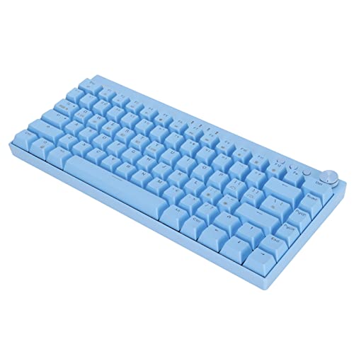 Dpofirs PC-Gaming-Tastatur, Mechanische Tastatur 82 Tasten 3-Modus-Tastatur mit RGB-kompatibel für für OS für (Linearer Aktionsschalter) von Dpofirs