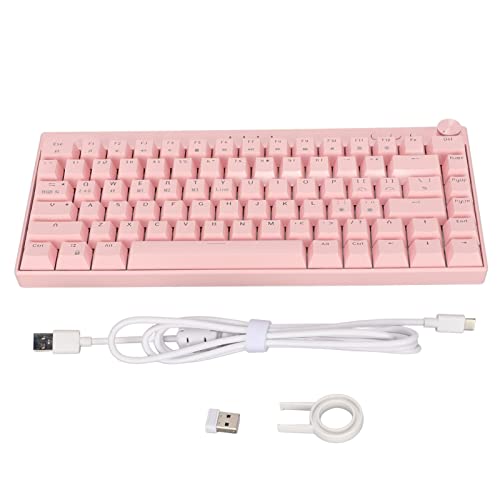 Dpofirs RGB Gaming Tastatur mit 82 Tasten, Mechanische Gaming Tastatur Unterstützt Wireless 2.4G/BT 3.0/5.0/Type C Wired für Laptop PC Mac (Blauer Schalter) von Dpofirs