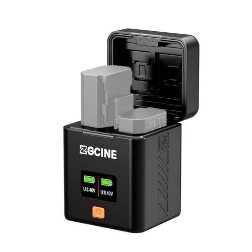 Dual USB C Ladegerät für NP FZ100, Batterie Ladegerät mit PD Schnellladung, OLED Bildschirm, Kompatibel mit A9 II A7R V A7R IV A7S III A7 IV A6600 A7C Dual USB C Ladegerät für NP FZ100, Batterie Ladegerät mit PD Schnellladung, OLED Bildschirm, Kompatibel mit A9 II A7R V A7R IV A7S III A7 IV A6600 A7C von Dpofirs
