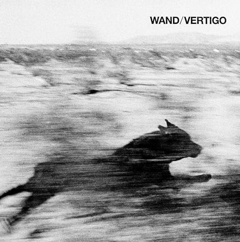 Vertigo Vertigo von Drag City
