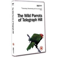 The Wild Parrots Of Telegraph Hill von Drakes Avenue