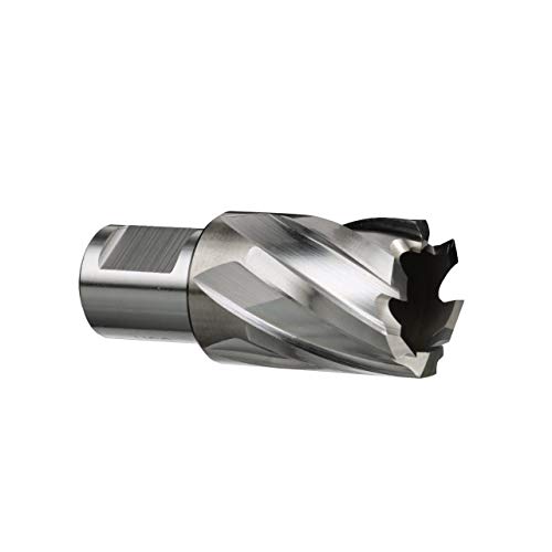 Drill America - DWC5-530-110 7/16" X 1" Hochgeschwindigkeitsstahl-Ringschneider, DWC-Serie Drill America - DWC5-530-110 7/16" X 1" Hochgeschwindigkeitsstahl-Ringschneider, DWC-Serie von Drill America