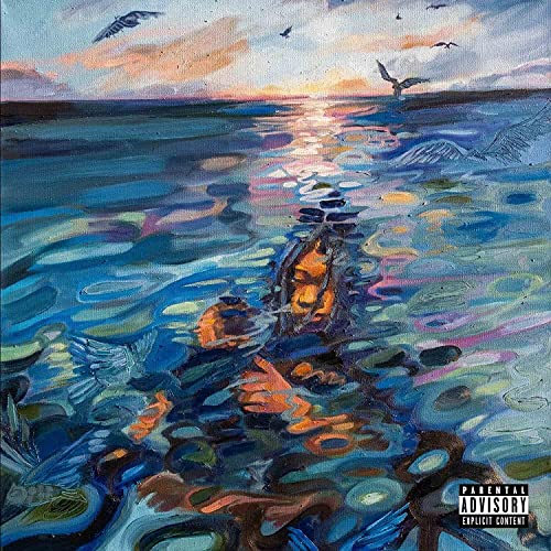 Adultsw!M [Vinyl LP] von Drink Sum Wtr