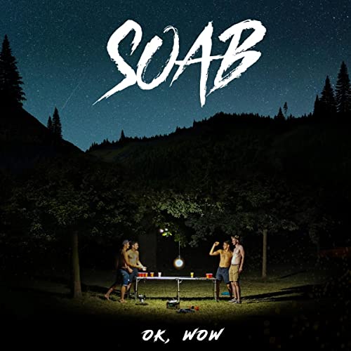 Okay Wow [Vinyl LP] von Dritte Wahl / Indigo