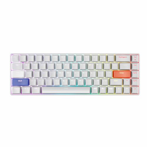 DrunkDeer G65 Rapid Trigger Mechanische Tastatur Magnetschalter ABS Tastenkappe OEM Gaming Tastatur TKL RGB Kompakt 65% Größe Verkabelt, Weiß von DrunkDeer