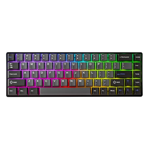 DrunkDeer G65 Rapid Trigger Mechanische Tastatur Magnetschalter Gaming RGB PBT Tastenkappe 65% Größe 68 Tasten Kompakt Verkabelt Ghost Proof Schwarz von DrunkDeer