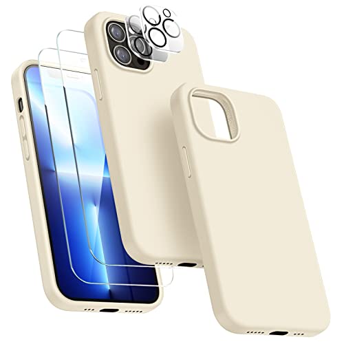 Dssairo [5 in 1 für iPhone 13 Pro Hülle, mit 2 Displayschutzfolien + 2 Stück Kameraobjektivschutz, Flüssigsilikon, schlanke, stoßfeste Schutzhülle [Mikrofaserfutter] 6.1 (Stein) von Dssairo