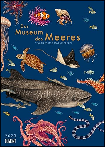 DUMONT Das Museum des Meeres - Kalender 2023 - DuMont-Verlag - mit Illustrationen und vielen Erklärungen - Wandkalender - 50 cm x 70 cm von DuMont