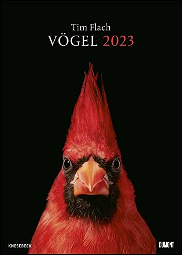 DUMONT Tim Flach: Vögel - Kalender 2023-Verlag - Wandkalender - 50 cm x 70 cm von DuMont