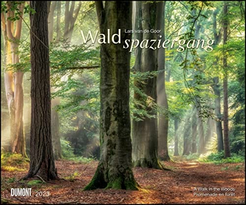 DUMONT Waldspaziergang - Kalender 2023-Verlag - Fotokunst-Kalender - Wandkalender - 60 cm x 50 cm von DuMont