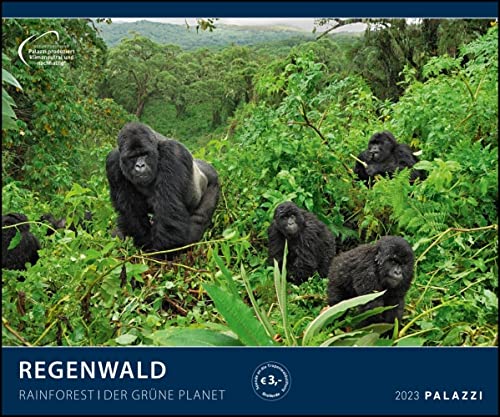 Regenwald - Kalender 2023 - Palazzi-Verlag - Wandkalender mit wundervollen Aufnahmen - 60 cm x 50 cm von DuMont