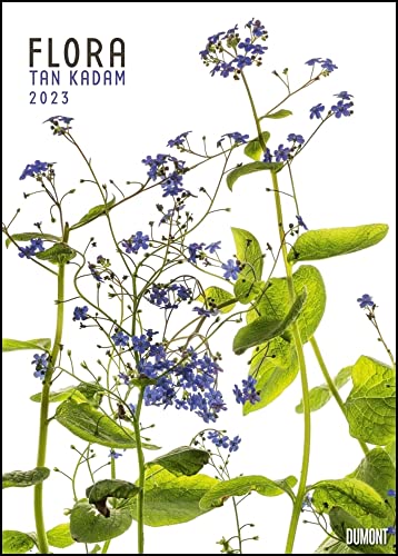 Tan Kadam: Flora - Kalender 2023 - DuMont-Verlag - Wandkalender - 50 cm x 70 cm von DuMont