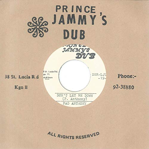 Don't Let Me Down [Vinyl Single] von Dub Store Records