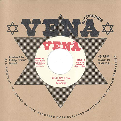 Give My Love [Vinyl Single] von Dub Store